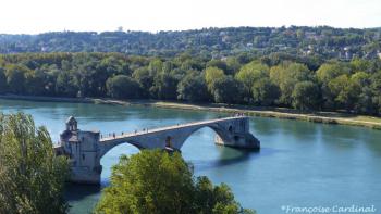 Le Pont Saint Bénézet vu du jardin des Doms. Avignon