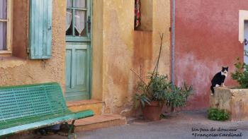 Une vie de chat à Roussillon, toute en couleurs 
