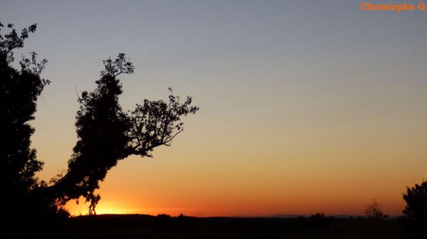 La campagne vauclusienne au moment du coucher du soleil